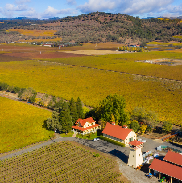 Aerial view of a vineyard with yellow and green fields, a central building complex with orange roofs, surrounded by hills and clear skies in the background.