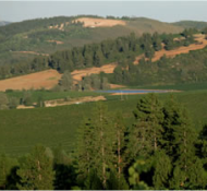 A landscape photo featuring layered hills with a mix of green forests and brown patches, likely from grass and open fields, under a clear sky.