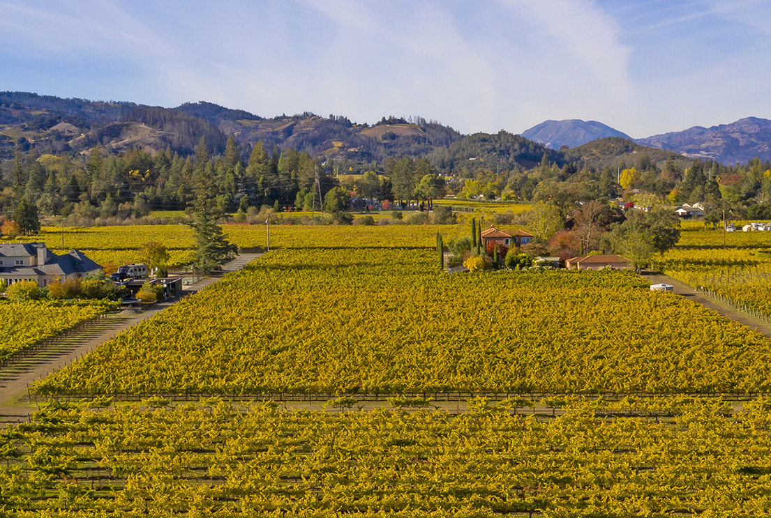 Aerial view of a vineyard with rows of grapevines, surrounded by trees and rolling hills under a partly cloudy sky.