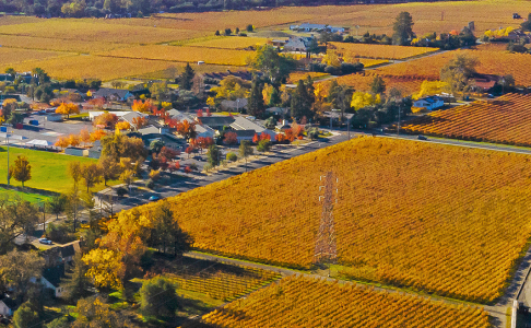 Aerial view of a rural landscape with expansive fields, vineyards, a small residential area, and a power transmission tower surrounded by autumn-colored foliage.